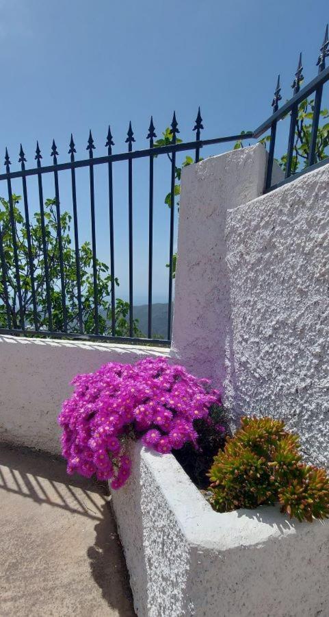 Cortijo Blanco Villa Albondon Luaran gambar
